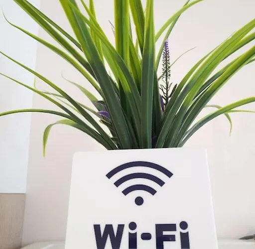 Апартаменты Bright *